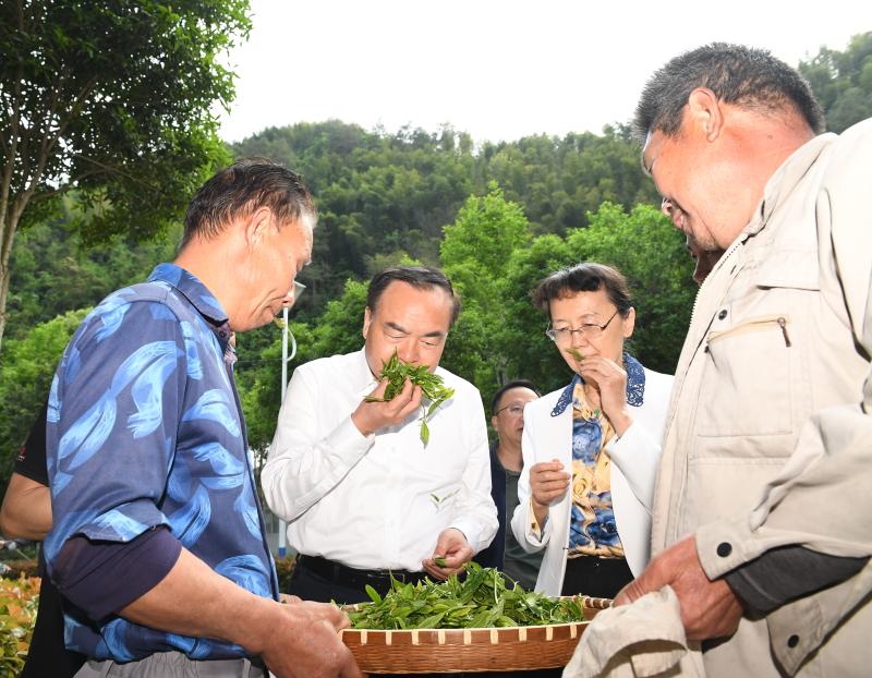 唐良智在黄山市调研时强调 建设宜居宜业和美乡村 奋力推进乡村全面振兴